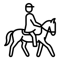 cavalier