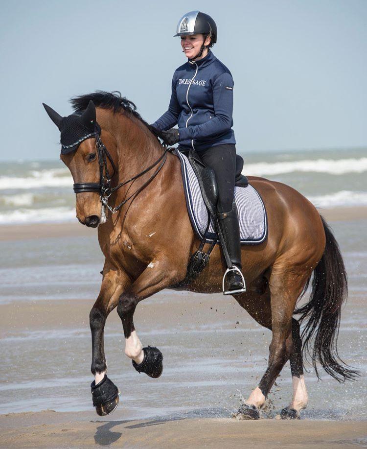 dressage-plage