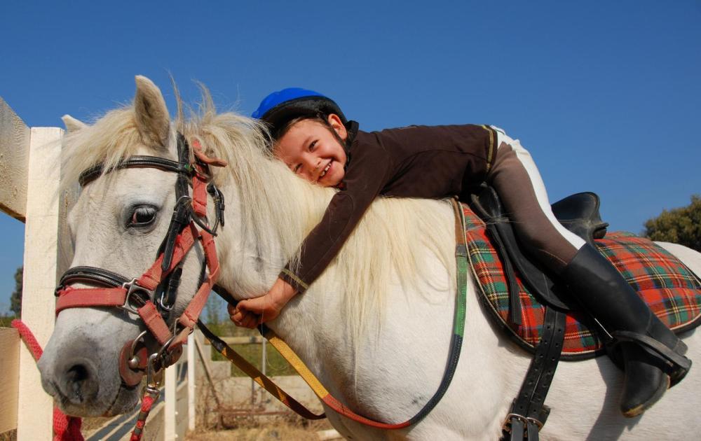 calin-poney