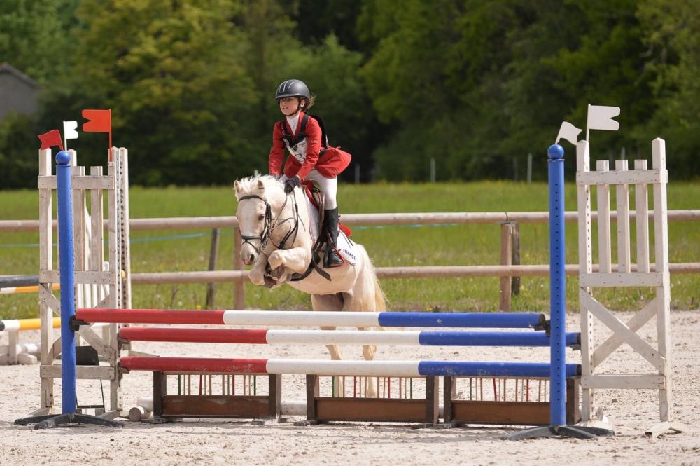 cso-poney