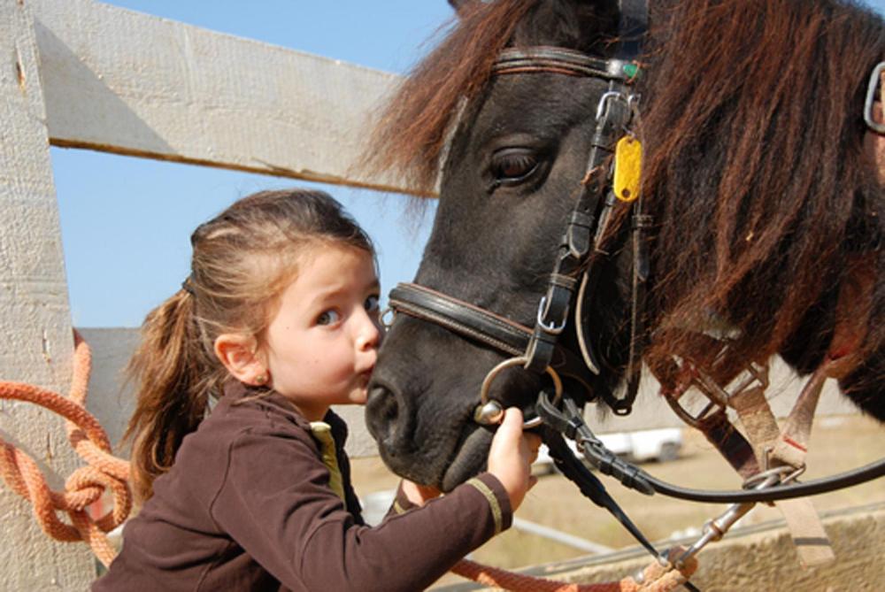 poney-enfant