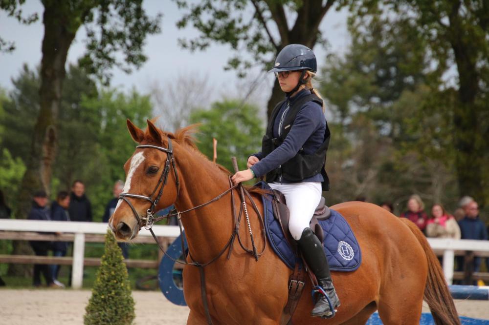 Compétition hippique près de Lanester